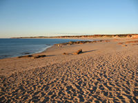 ...in the evening light